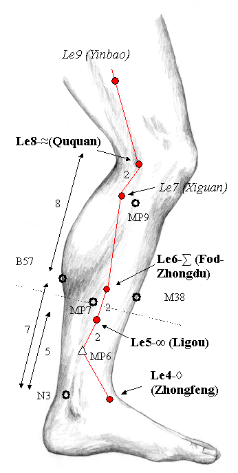smerter på indersiden af knæet efter vrid